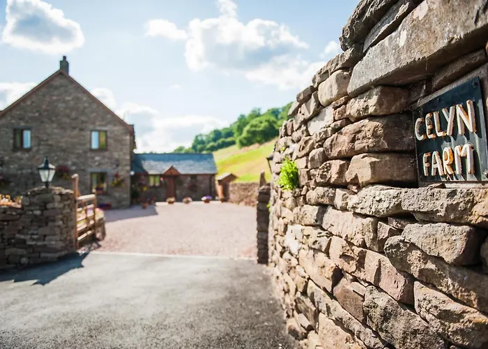 The Celyn